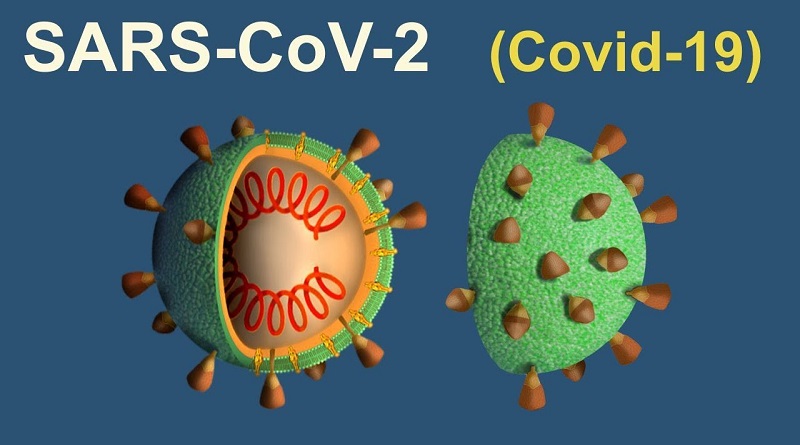 Gobierno nacional, coronavirus: Se lanza hoy la campaña masiva de vacunación para asegurar presencialidad en las escuelas.