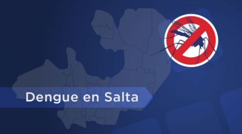 En la última semana se notificaron más de 1900 casos de dengue en Salta