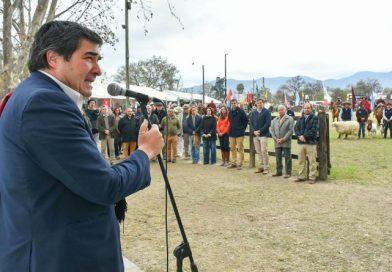 Hasta el domingo estará abierta la 82º edición de la Expo Rural Salta