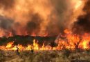 Autoridades de Defensa Civil y la empresa Seaboard analizaron planes de emergencia forestal