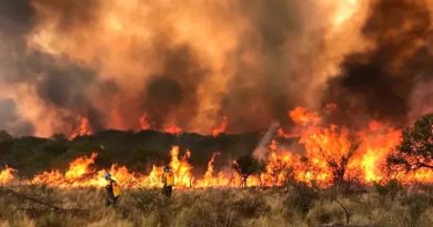Autoridades de Defensa Civil y la empresa Seaboard analizaron planes de emergencia forestal