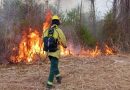 La Municipalidad recomienda aumentar los cuidados por la alerta por vientos e incendios