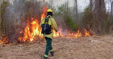 La Municipalidad recomienda aumentar los cuidados por la alerta por vientos e incendios