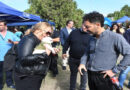 La Municipalidad llevó adelante un operativo especial de castración en Villa Lavalle