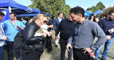 La Municipalidad llevó adelante un operativo especial de castración en Villa Lavalle