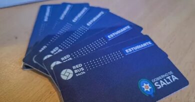 Por vacaciones de invierno no regirá el boleto gratuito para estudiantes del interior