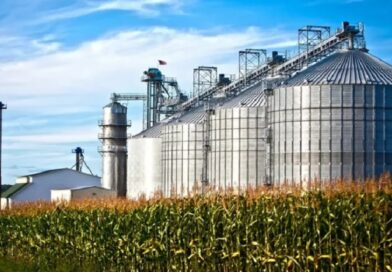 Biocombustibles en el NOA: energía, inclusión y desarrollo territorial