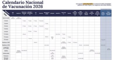 Salta recibió partidas de vacunas para nuevo Calendario Nacional 2026