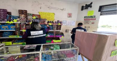 Amplio operativo de control por venta de pirotecnia sonora