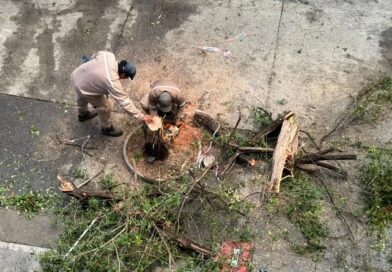 Hasta el momento ingresaron 60 llamados al 105 por incidentes en la ciudad