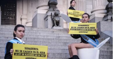 Protesta de Greenpeace en el Congreso: detienen a ambientalistas y agreden a periodistas