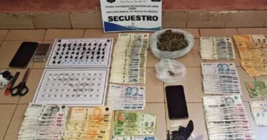 Importantes procedimientos de droga en la provincia