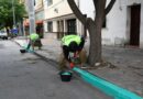 Estacioná tranquilo: se llegaron a las 100 cuadras verdes en la ciudad