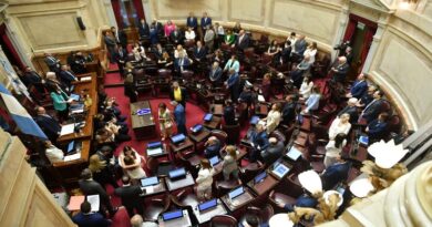 El Gobierno logró aprobar la reforma laboral en el Senado y la sanción de la ley queda en manos de Diputados