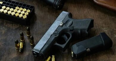 El Gobierno presiona en el Senado para avanzar con su plan de blanqueo y entrega de armas