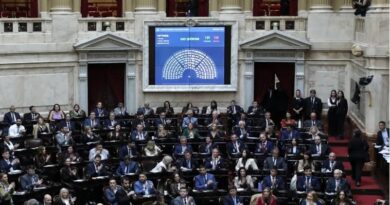 Ley de Glaciares: cómo votaron los diputados salteños
