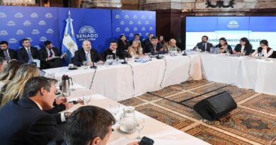 Senado reanuda el debate por la Inviolabilidad de la Propiedad Privada con invitados del peronismo