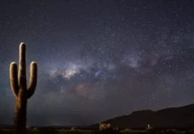 El Parque Nacional Los Cardones invita a vivir una noche única de astroturismo en los Valles Calchaquíes