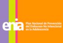 El desmantelamiento del Plan ENIA: la política pública que logró bajar el embarazo adolescente y hoy está paralizada