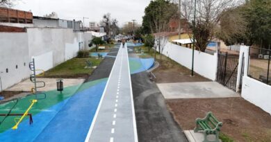 El Paseo del Deporte ya luce totalmente renovado