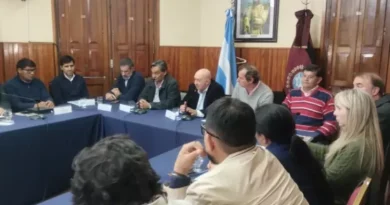 El ministro Lupión analizó con senadores las metas productivas de la Provincia