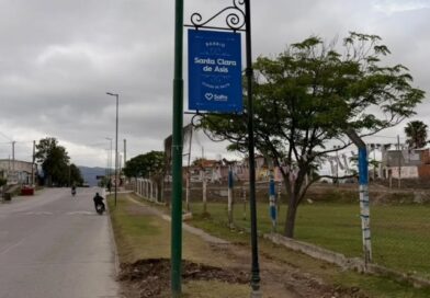 Próximamente comenzará la reforestación masiva del Eje Discépolo en zona sudeste
