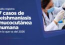 Suman 7 los casos notificados de leishmaniasis mucocutánea humana en lo que va del año
