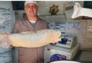 La Semana del Pescado suma promociones en el Mercadito General Belgrano