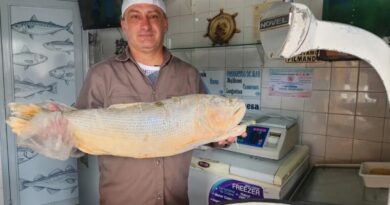 La Semana del Pescado suma promociones en el Mercadito General Belgrano