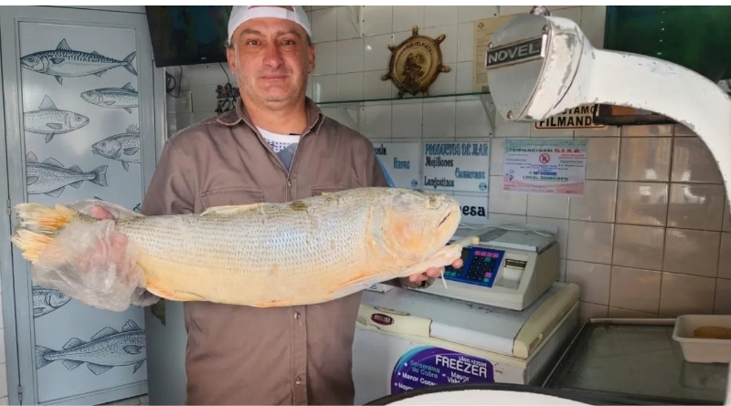 La Semana del Pescado suma promociones en el Mercadito General Belgrano