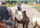 La Policía de Salta desarrolló un Operativo de incautación de animales sueltos en distintos puntos de la provincia